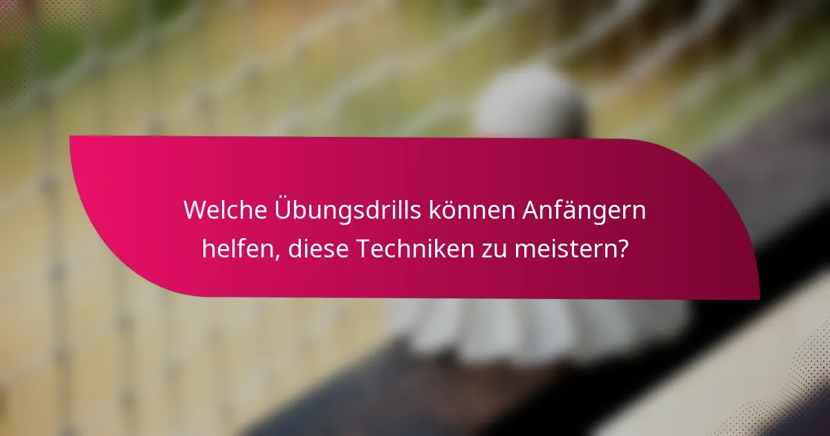 Welche Übungsdrills können Anfängern helfen, diese Techniken zu meistern?